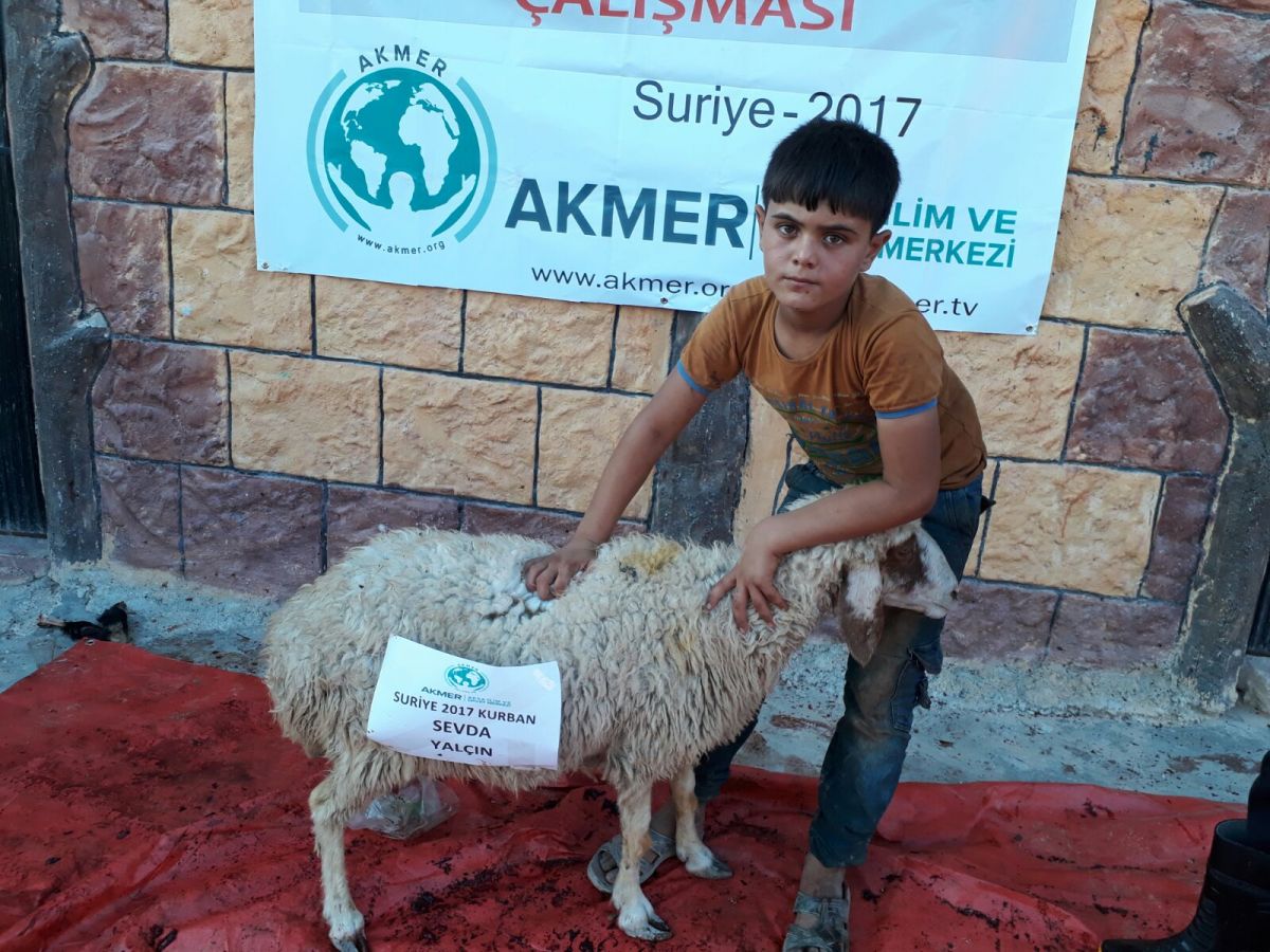 Kurban bağışlarınız Suriye ve Gazze'de dağıtıldı