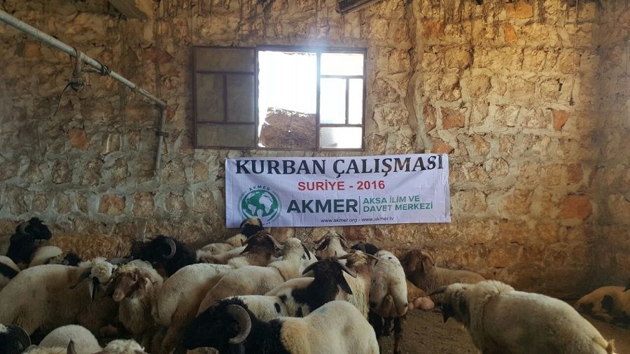 Kurban emanetleriniz Suriyeli ve Gazzeli kardeşlerimize ulaştı